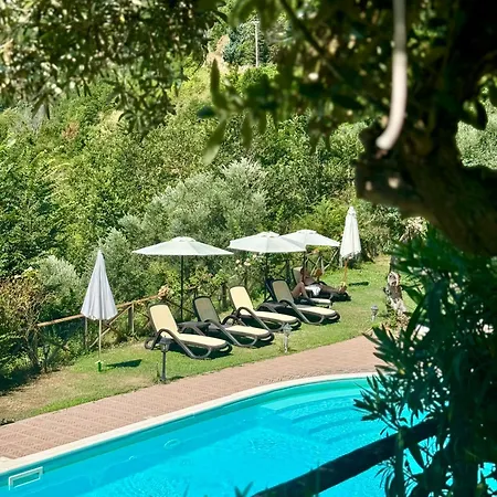 Palazzo Del Baglivo Cilento & 酒店